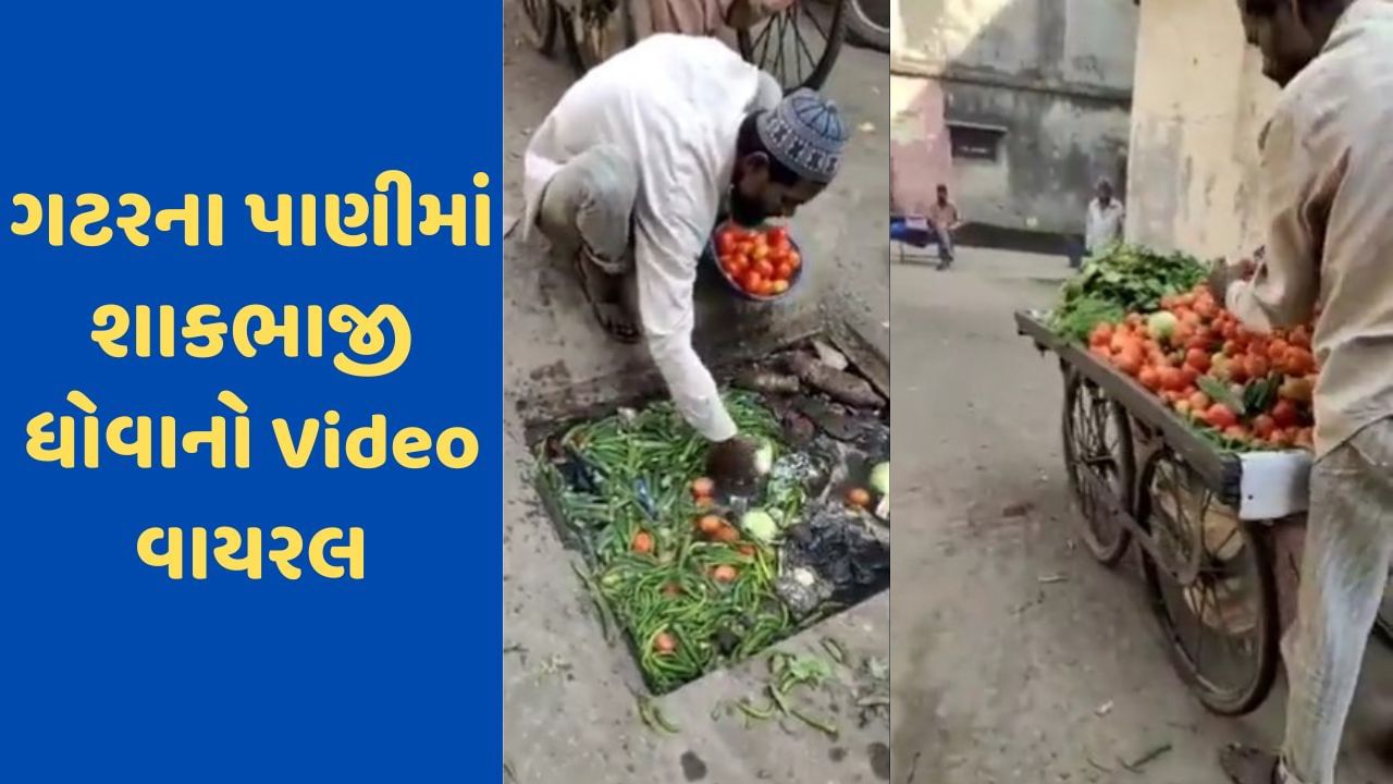 Viral Video: આ વીડિયો જોઈને કદાચ તમે શાકભાજી ખાતા બે વાર વિચારશો ! ગટરના પાણીથી શાકભાજી ધોતો જોવા મળ્યો ફેરિયો, જુઓ VIDEO