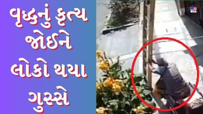 Viral video : વ્હીલચેર પર બેઠેલા વૃદ્ધે કર્યું એવું કૃત્ય, જોઈને લોકો થયા ગુસ્સે