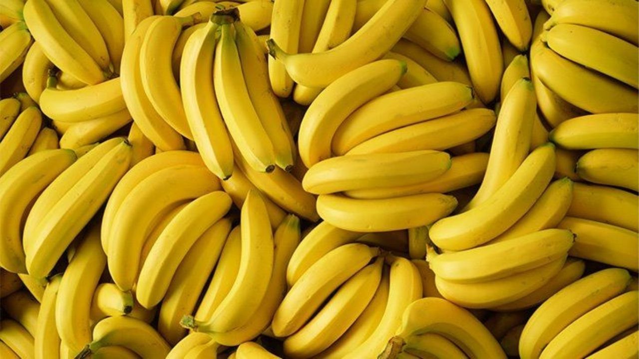 કેળા વિટામિન B12નો પણ સારો સ્ત્રોત છે. કેળામાં વિટામિન અને ફાઈબર હોય છે, જે બ્લડ પ્રેશરને નિયંત્રિત કરવામાં, તણાવ ઘટાડવામાં, કબજિયાત અને અલ્સરની સમસ્યાને દૂર કરવામાં મદદ કરે છે.  (all photo : Google)