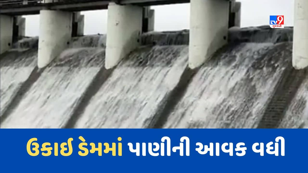 Gujarati Video :  ભારે વરસાદથી ભાવનગરનો શેત્રુંજી ડેમ ઓવરફ્લો થયો, ડેમના 20 દરવાજા 1 ફુટ સુધી ખોલવામાં આવ્યા