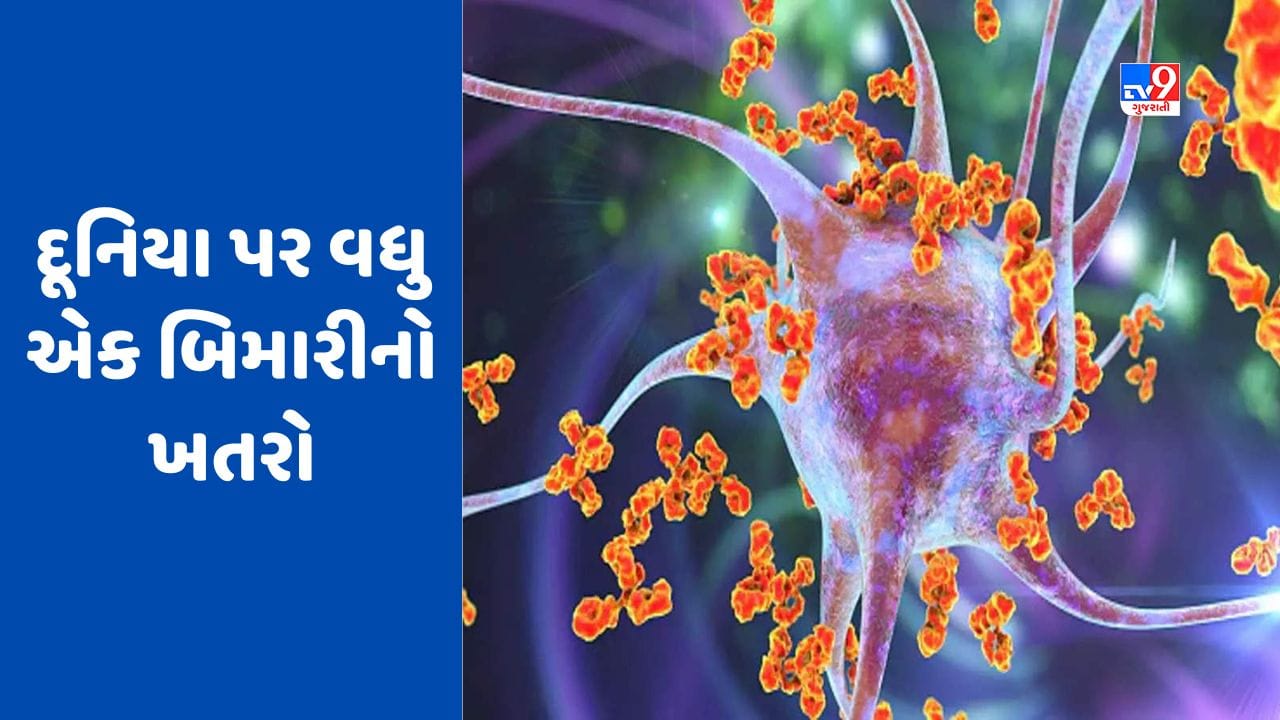 Guillain Barre Syndrome : દૂનિયા પર ગુલિયન બેરી સિન્ડ્રોમ નામની બિમારીનો ખતરો, લોકો થઈ રહ્યા છે પેરેલાઈઝ, આ દેશે જાહેર કરી હેલ્થ ઈમરજન્સી