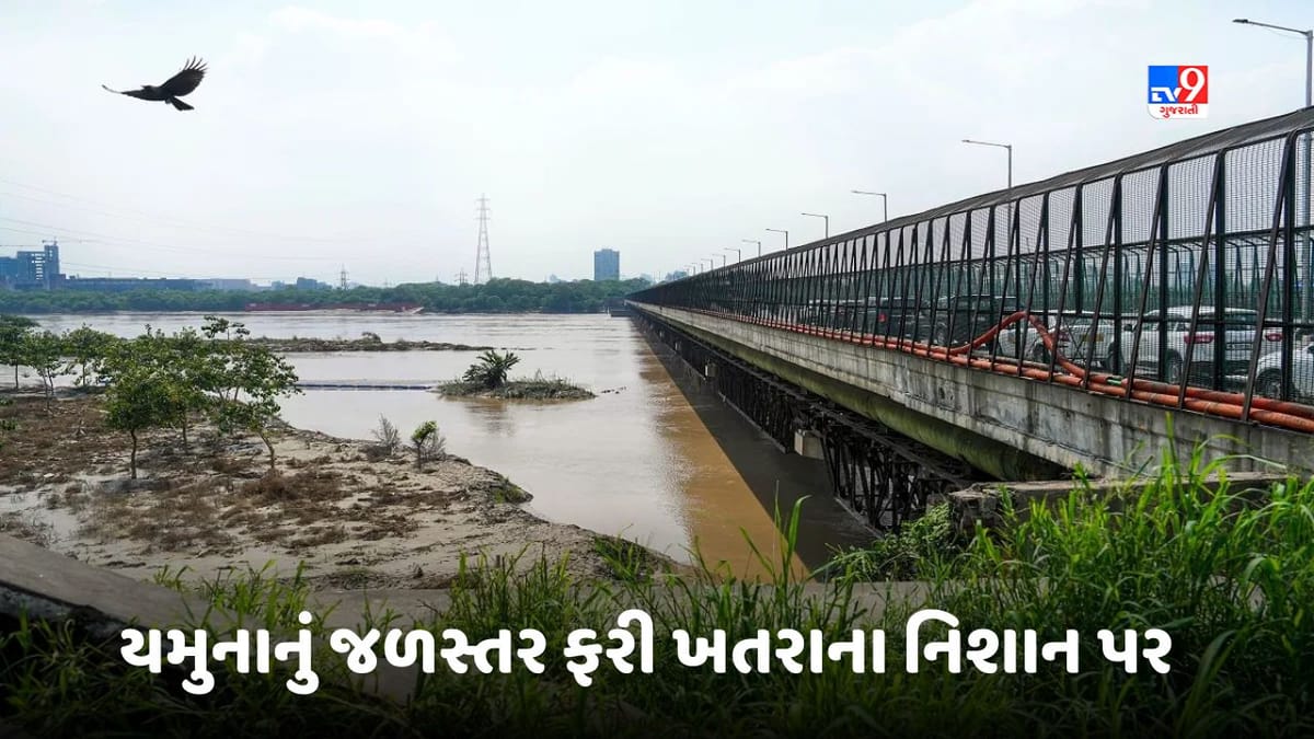 Yamuna Water Level: દિલ્હીને ફરી ડુબાડશે યમુના! ખતરાના નિશાનથી ફરી ઉપર પહોંચ્યુ જળસ્તર Yamuna Water Level: દિલ્હીને ફરી ડુબાડશે યમુના! ખતરાના નિશાનથી ફરી ઉપર પહોંચ્યુ જળસ્તર