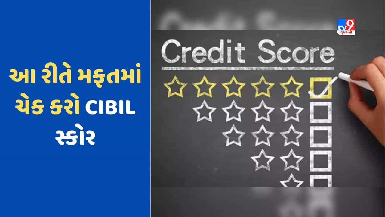 તમે મફતમાં ચેક કરી શકો છો CIBIL સ્કોર, જાણો સમગ્ર પ્રોસેસ