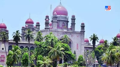 દત્તક બાળકને પોતાના જ પરિવારની સંપત્તિમાંથી ભાગ લેવાનો નહીં મળે અધિકાર, 46 વર્ષ જૂના કેસમાં કોર્ટનું મહત્વનું નિવેદન