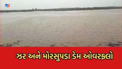 Monsoon 2023: અમરેલીમાં ભારે વરસાદ, જળાશયોમાં આવ્યા નવા નીર, ધારીમાં ઝર અને મોરસુપડા ડેમ ઓવરફ્લો