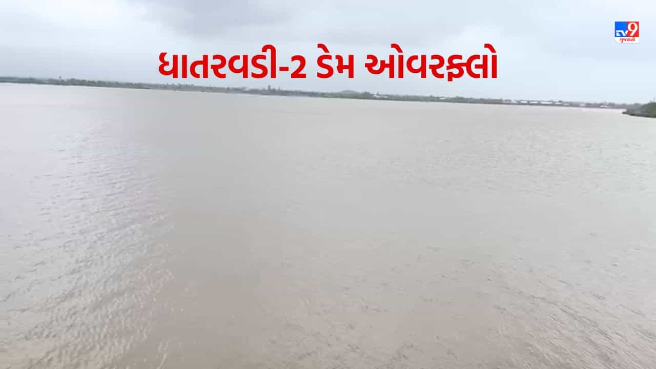 Gujarati Video : રાજુલાનો ધાતરવડી-2 ડેમ સતત બીજીવાર થયો ઓવરફ્લો, આસપાસના 10 ગામોને હાઈએલર્ટની સૂચના