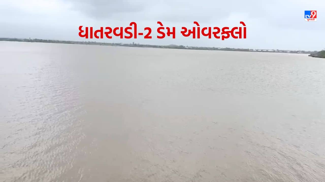 Gujarati Video : રાજુલાનો ધાતરવડી-2 ડેમ સતત બીજીવાર થયો ઓવરફ્લો, આસપાસના 10 ગામોને હાઈએલર્ટની સૂચના