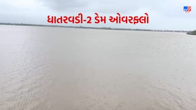Gujarati Video : રાજુલાનો ધાતરવડી-2 ડેમ સતત બીજીવાર થયો ઓવરફ્લો, આસપાસના 10 ગામોને હાઈએલર્ટની સૂચના