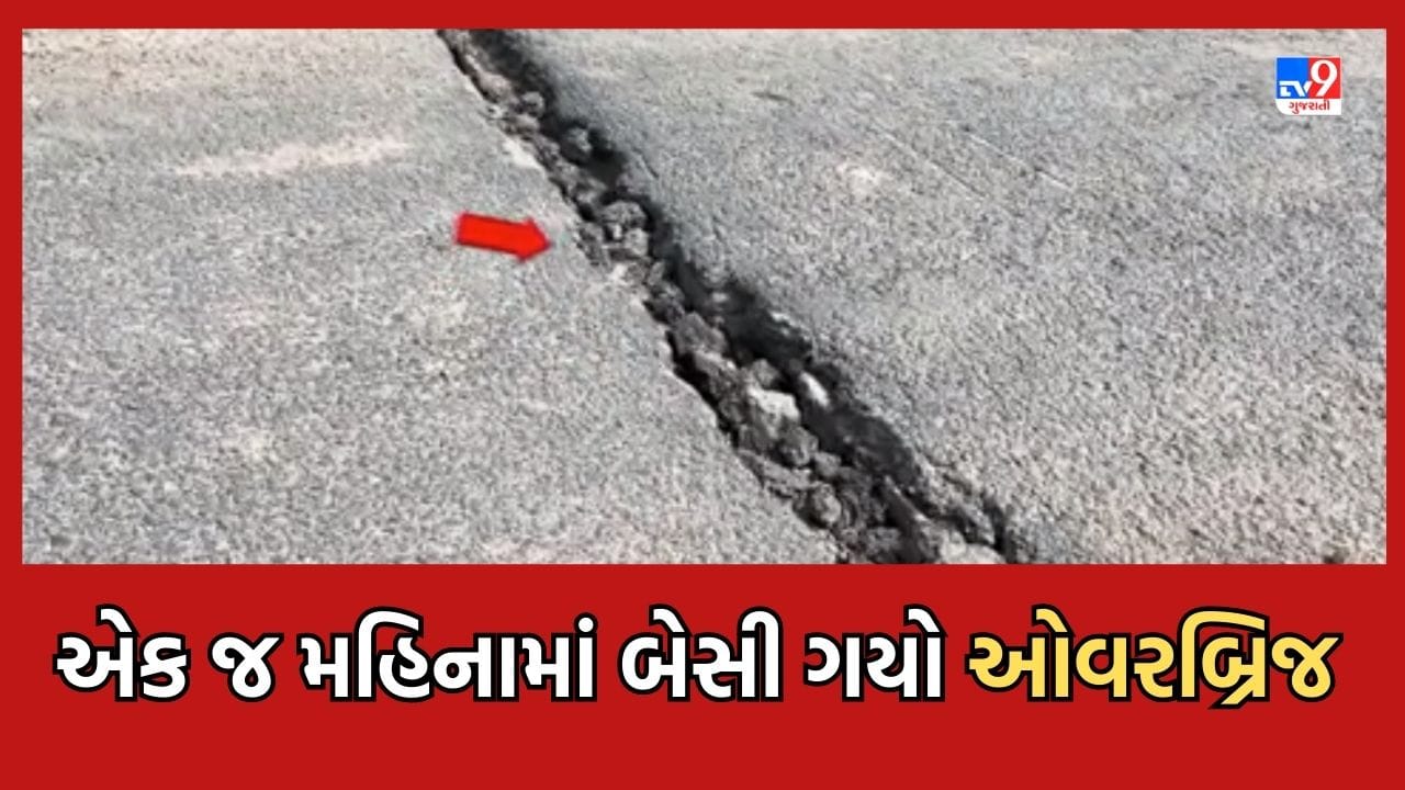 Gujarati Video:અમરેલી ભાવનગર સોમનાથ નેશનલ હાઈવે પરના બ્રિજમાં ગોબાચારી આવી સામે, એક જ મહિનામાં બેસી ગયો ઓવરબ્રિજ Gujarati Video:અમરેલી ભાવનગર સોમનાથ નેશનલ હાઈવે પરના બ્રિજમાં ગોબાચારી આવી સામે, એક જ મહિનામાં બેસી ગયો ઓવરબ્રિજ