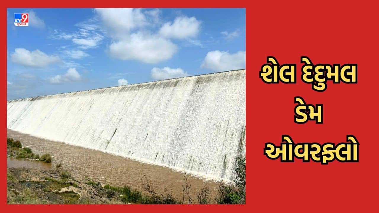 Gujarat Video : અવિરત વરસાદને કારણે અમરેલીના જળાશયો થયા ઓવરફ્લો, સાવરકુંડલાના શેલ દેદુમલ ડેમનો નિહાળો નયનરમ્ય નજારો