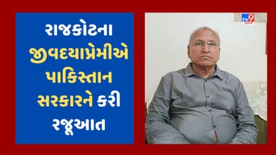 રાજકોટના જીવદયાપ્રેમીએ કરી પાકિસ્તાનના ગદર્ભોની ચિંતા, પાકિસ્તાન સરકારને ગદર્ભ-શ્વાન ચીનને નિકાસ ન કરવા કરી રજૂઆત
