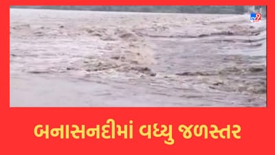 Banaskantha: ઉપરવાસમાં ભારે વરસાદને પગલે બનાસ નદીમાં વધ્યુ જળસ્તર, વહીવટીતંત્ર સતર્ક- જુઓ Video