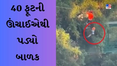 Shocking Viral Video: એડવેન્ચર દરમિયાન 40 ફૂટની ઊંચાઈએથી પડ્યો બાળક, પછી જુઓ શું થયું