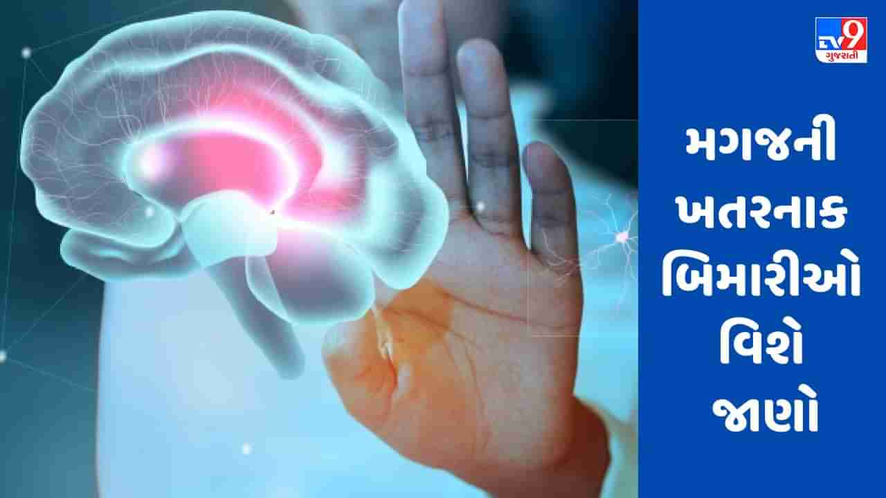 World brain day 2023:  મગજમાં થાય છે આ ખતરનાક રોગો, જાણો નિષ્ણાતો પાસેથી લક્ષણો અને નિવારણની પદ્ધતિઓ