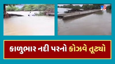Bhavnagar Rain Video : શિહોરના સેલુ, ભાણગઢ ગામમાં વરસાદી પાણી ઘૂસ્યા, કાળુભાર નદીના પટનો કોઝ-વે તૂટી ગયો Bhavnagar Rain Video : શિહોરના સેલુ, ભાણગઢ ગામમાં વરસાદી પાણી ઘૂસ્યા, કાળુભાર નદીના પટનો કોઝ-વે તૂટી ગયો