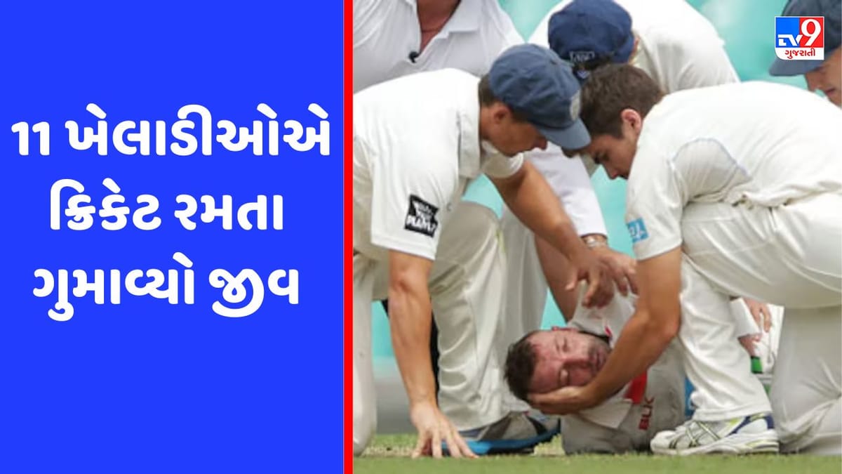 ક્રિકેટના મેદાનમાં આ ખેલાડીઓએ ગુમાવ્યો પોતાનો જીવ, 1 ભારતીય પણ આ યાદીમાં સામેલ