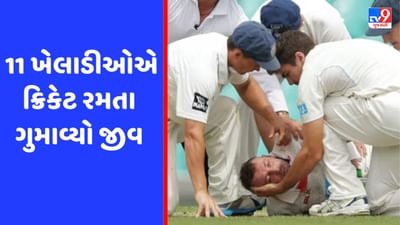 ક્રિકેટના મેદાનમાં આ ખેલાડીઓએ ગુમાવ્યો પોતાનો જીવ, 1 ભારતીય પણ આ યાદીમાં સામેલ