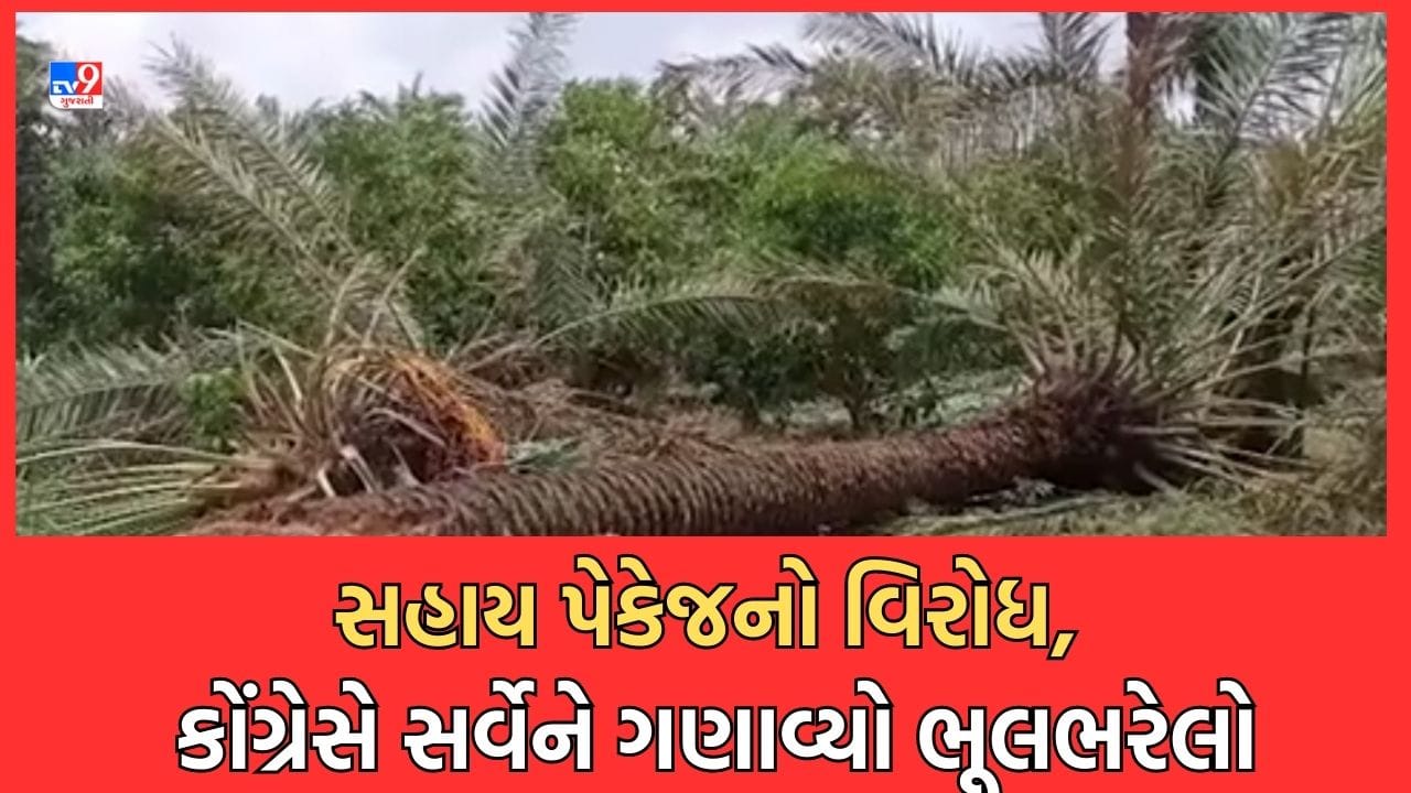 Gujarat Video: બનાસકાંઠા અને કચ્છ જિલ્લા માટે જાહેર કરાયેલા સહાય પેકેજ સામે કોંગ્રેસનો વિરોધ, સર્વેની કામગીરીને ગણાવી ભૂલભરેલી Gujarat Video: બનાસકાંઠા અને કચ્છ જિલ્લા માટે જાહેર કરાયેલા સહાય પેકેજ સામે કોંગ્રેસનો વિરોધ, સર્વેની કામગીરીને ગણાવી ભૂલભરેલી