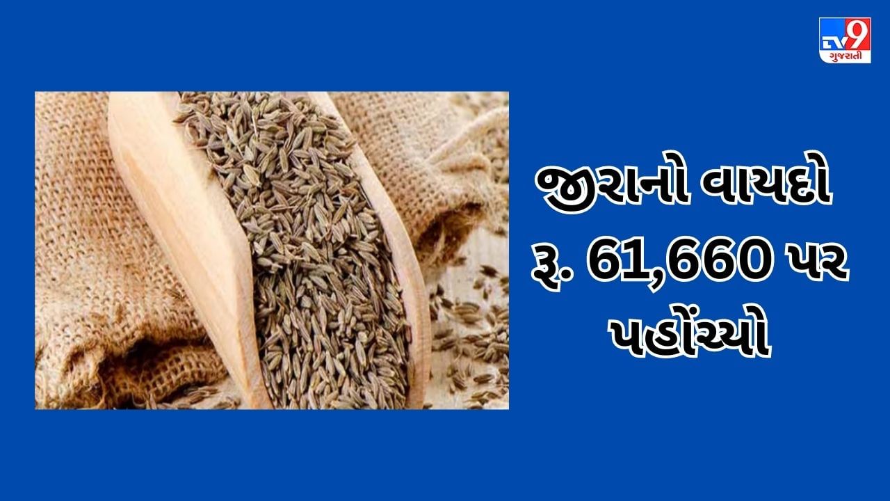 Commodity Market Today: NCDEX પર જીરું પહોંચ્યું રેકોર્ડ હાઈ, હળદરને ચઢ્યો રંગ, જાણો શું છે કારણ