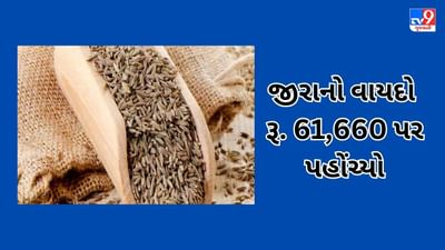 Commodity Market Today: NCDEX પર જીરું પહોંચ્યું રેકોર્ડ હાઈ, હળદરને ચઢ્યો રંગ, જાણો શું છે કારણ