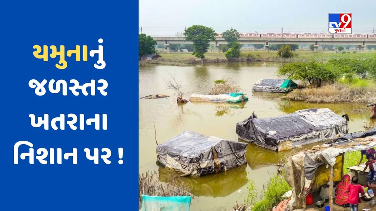 Delhi News: દિલ્હીમાં યમુના, ગાઝિયાબાદમાં હિંડોન નદીએ લોકોને ડરાવ્યા, જળસ્તરમાં વધારો થતા અનેક ઘરો ડૂબવા લાગ્યા Delhi News: દિલ્હીમાં યમુના, ગાઝિયાબાદમાં હિંડોન નદીએ લોકોને ડરાવ્યા, જળસ્તરમાં વધારો થતા અનેક ઘરો ડૂબવા લાગ્યા