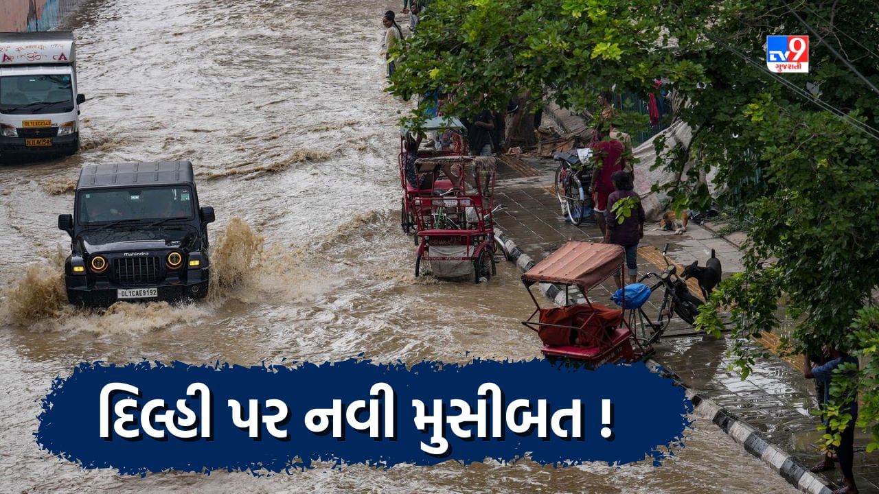 Delhi Flood: દિલ્હી પૂરથી તો બચી જશે પરંતુ આવી રહી છે પાણીની આ નવી મુસીબત, જાણો