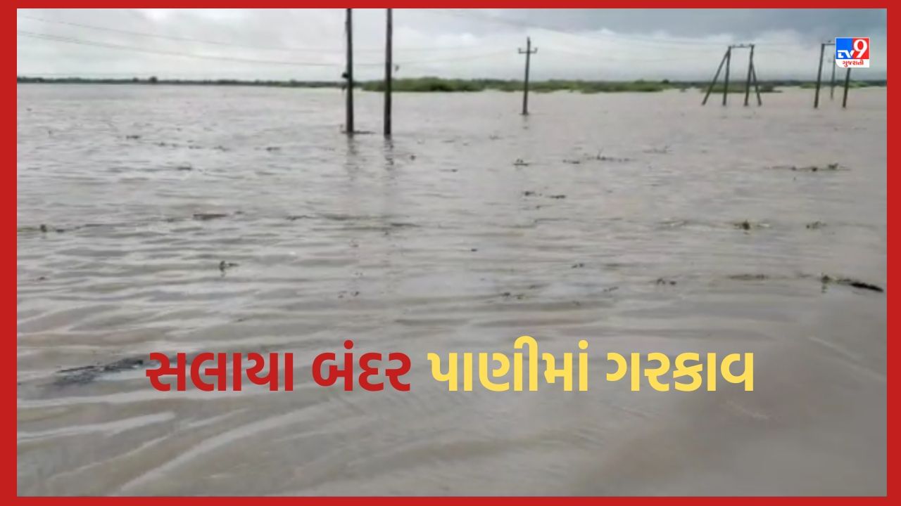 Gujarati Video: ખંભાળિયામાં 5 કોઝવે પાણીમાં ગરકાવ, સલાયા બંદર પાસે કોઝવે પર પાણી ફરી વળતા માર્ગો ઠપ્પ