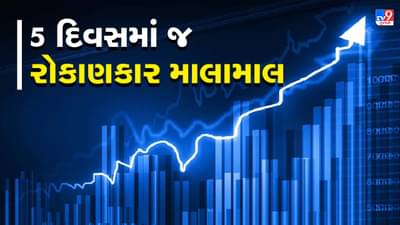 આ શેરે રોકાણકારનો કરાવી તગડી કમાણી, 5 દિવસમાં જ 1 લાખ રૂપિયા બન્યા 1.53 લાખ