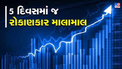આ શેરે રોકાણકારનો કરાવી તગડી કમાણી, 5 દિવસમાં જ 1 લાખ રૂપિયા બન્યા 1.53 લાખ