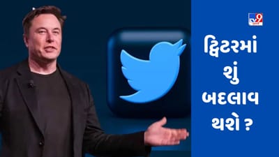 Twitterની ચકલીઓ ઉડી જશે !!! શું એલોન મસ્ક ટૂંક સમયમાં ટ્વિટરને અલવિદા કહેશે ?