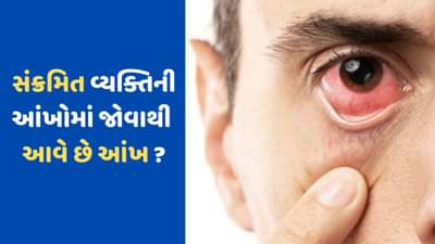 Eye Flu: શું ખરેખર સંક્રમિત વ્યક્તિની આંખમાં જોવાથી ફેલાય છે આઈ ફલૂ ? જાણો શું કહે છે નિષ્ણાત અને શું કાળજી લેવી
