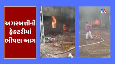 Breaking News : બનાસકાંઠાના ડીસામાં અગરબત્તીની ફેક્ટરીમાં લાગી ભીષણ આગ, ફાયર ફાયટરની ટીમ ઘટનાસ્થળે, જૂઓ Video