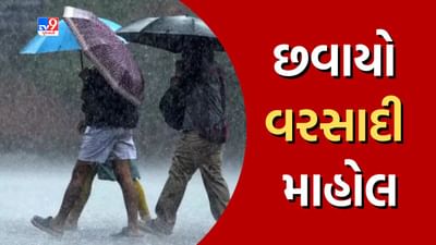 હવામાન વિભાગની આગાહી વચ્ચે પંચમહાલ સહિતના વિસ્તારોમાં છવાયો વરસાદી માહોલ, જુઓ Video હવામાન વિભાગની આગાહી વચ્ચે પંચમહાલ સહિતના વિસ્તારોમાં છવાયો વરસાદી માહોલ, જુઓ Video
