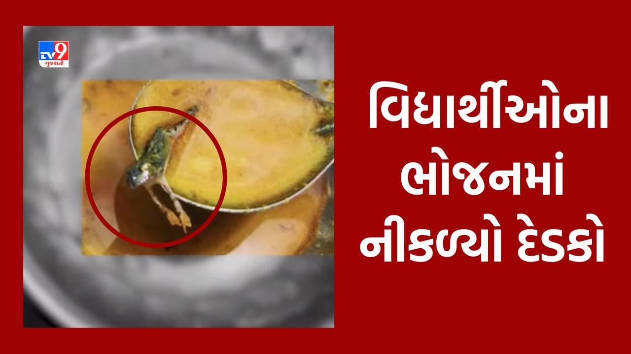 Gujarati Video: ન તો ઇયળ, ન તો ગરોળી... ભાવનગરના સણોસરામાં લોકભારતી ગ્રામ વિદ્યાપીઠમાં વિદ્યાર્થીઓના ભોજનમાં નીકળ્યો દેડકો Gujarati Video: ન તો ઇયળ, ન તો ગરોળી... ભાવનગરના સણોસરામાં લોકભારતી ગ્રામ વિદ્યાપીઠમાં વિદ્યાર્થીઓના ભોજનમાં નીકળ્યો દેડકો