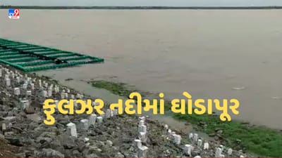 Rajkot : ઉપલેટાના ગ્રામ્ય પંથકમાં વરસ્યો ધોધમાર વરસાદ, મોટી પાનેલીમાં ફુલઝર નદીમાં આવ્યુ ઘોડાપૂર- જુઓ Video Rajkot : ઉપલેટાના ગ્રામ્ય પંથકમાં વરસ્યો ધોધમાર વરસાદ, મોટી પાનેલીમાં ફુલઝર નદીમાં આવ્યુ ઘોડાપૂર- જુઓ Video