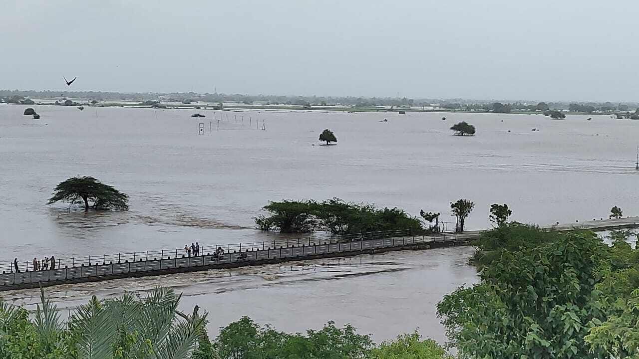 નદીનો પાળો તૂટતા આસપાસની 300 વીઘા જમીનમાં પાણી ફરી વળ્યા હતા. જમીન ડૂબમાં જતા ખેડૂતોને ભારે મુશ્કેલીનો સામનો કરવો પડી રહ્યો છે. 