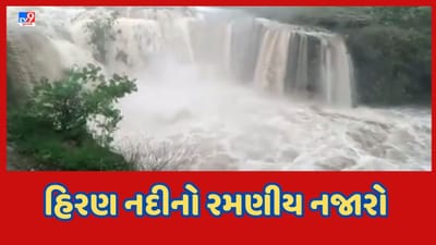Gir Somnath : વેરાવળમાં ભારે વરસાદ બાદ હિરણ નદીમાં નવા નીરની આવક, સવની ગામનો નયનરમ્ય નજારો- જુઓ Video Gir Somnath : વેરાવળમાં ભારે વરસાદ બાદ હિરણ નદીમાં નવા નીરની આવક, સવની ગામનો નયનરમ્ય નજારો- જુઓ Video