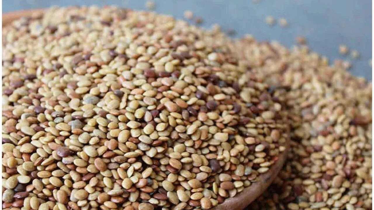 દાળ પ્રોટીનનો ઉત્તમ સ્ત્રોત છે. પ્રોટીનની ઉણપને પૂરી કરવા માટે ઘણા લોકો તુવેર દાળ અને મસૂર દાળ જેવા કઠોળનું સેવન કરે છે. આવી જ બીજી એક દાળ છે કુલથી. આ સ્વાસ્થ્ય માટે ખૂબ જ ફાયદાકારક છે. આવો જાણીએ તેના ફાયદા.