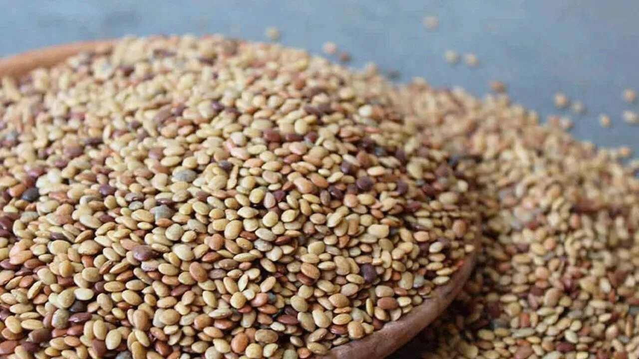 કિડની સ્ટોનથી પરેશાન લોકો માટે આ દાળ રામબાણ ઈલાજ છે. એક અભ્યાસ મુજબ કુલથી દાળનું સેવન કરવાથી પથરીની સમસ્યામાંથી રાહત મળી શકે છે. જેના માટે કિડની સ્ટોનમાંથી રાહત મેળવવા માટે કુલથી દાળ સેવન પણ કરી શકો છો.