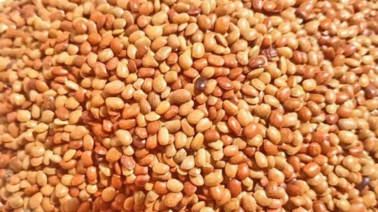 કુલ્થી દાળમાં ફાઈબર ભરપુર માત્રામાં હોય છે. આ દાળનું સેવન કરવાથી ખરાબ કોલેસ્ટ્રોલને કંટ્રોલ કરવામાં મદદ મળે છે, આનું સેવન સારા કોલેસ્ટ્રોલને વધારે છે.