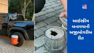 VIRAL VIDEO: એક વ્યક્તિએ અજીબોગરીબ જુગાડથી આઈસ્ક્રીમ બનાવ્યો, લોકોનું માથું ભમી ગયું