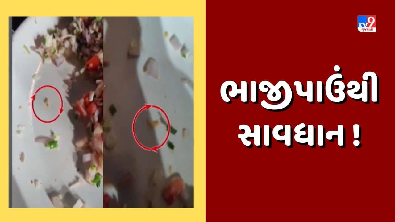 હોટેલના ભોજનમાંથી નીકળી ઈયળ, AMCએ 12 હજારનો ફટકાર્યો દંડ, જુઓ Video