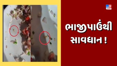 હોટેલના ભોજનમાંથી નીકળી ઈયળ, AMCએ 12 હજારનો ફટકાર્યો દંડ, જુઓ Video
