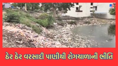 Jamnagar: વરસાદ બાદ જાહેર સ્થળોએ ઠેક ઠેકાણે પાણી ભરાયેલા રહેતા રોગચાળો જવાની ભીતિ, સ્થાનિકો દ્વારા સફાઈ ન થતી હોવાની રાવ