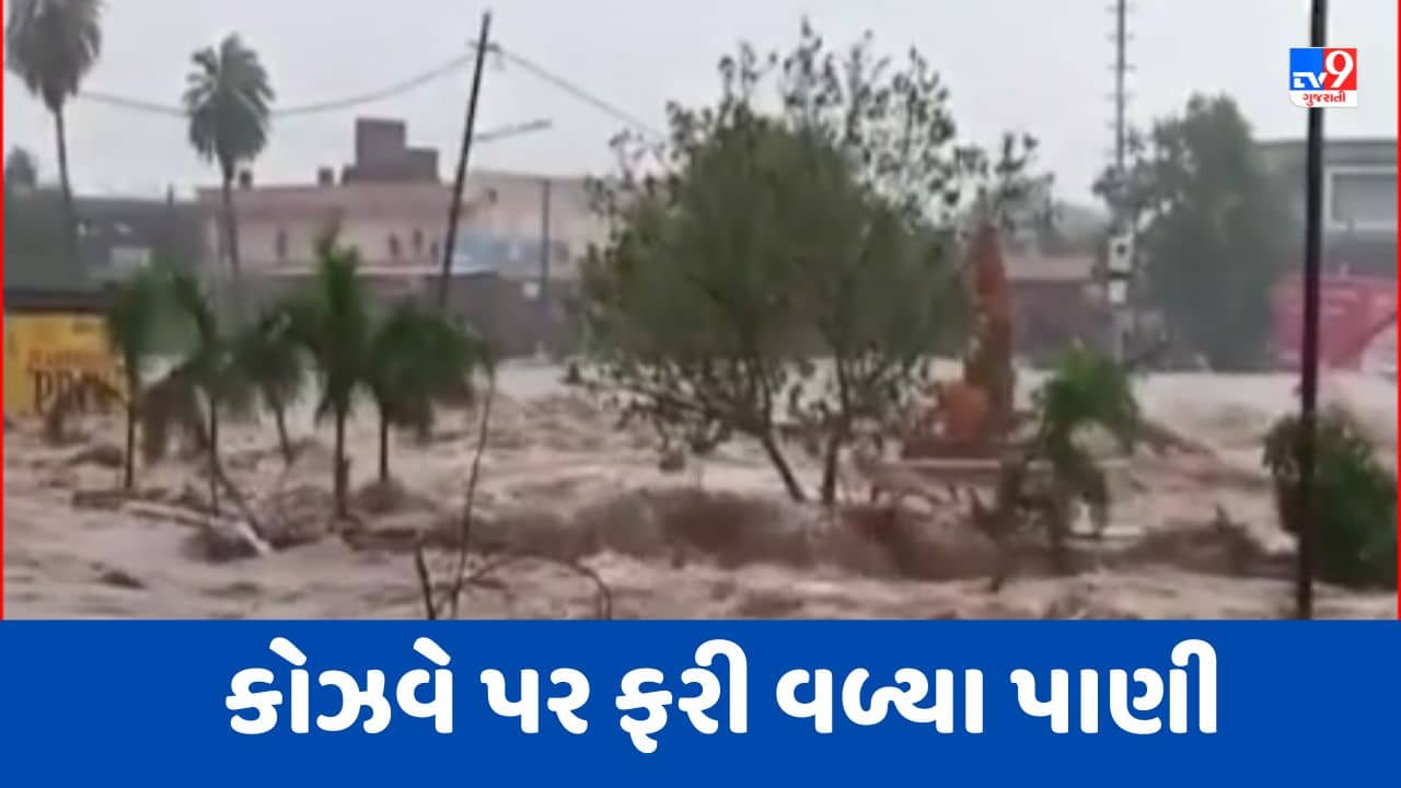 Monsoon 2023 : જામનગરમાં ભારે વરસાદ વરસતા ઢાંઢર નદી પર આવેલા કોઝવે પર ફરી વળ્યા પાણી, Videoમાં જુઓ દ્રશ્યો