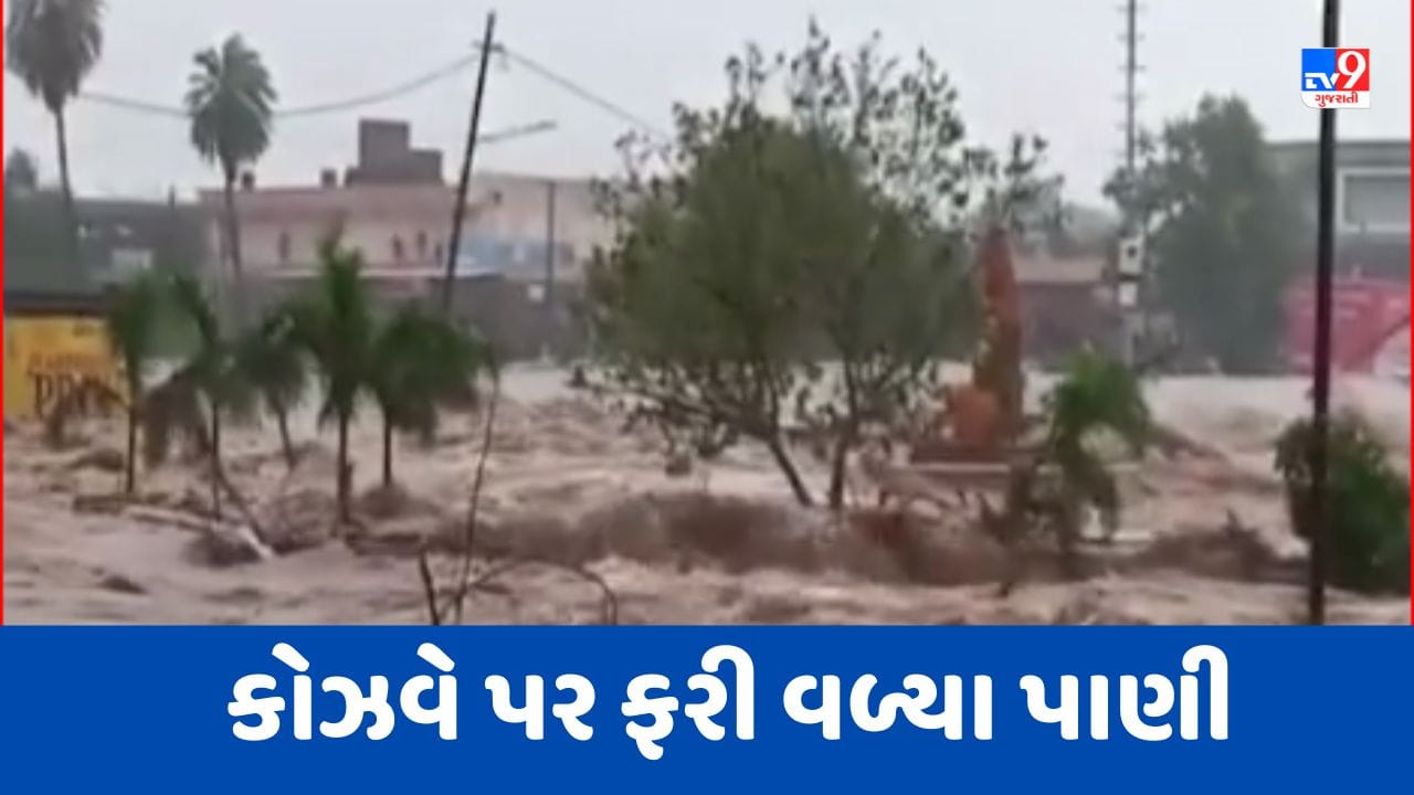 Monsoon 2023 : જામનગરમાં ભારે વરસાદ વરસતા ઢાંઢર નદી પર આવેલા કોઝવે પર ફરી વળ્યા પાણી, Videoમાં જુઓ દ્રશ્યો Monsoon 2023 : જામનગરમાં ભારે વરસાદ વરસતા ઢાંઢર નદી પર આવેલા કોઝવે પર ફરી વળ્યા પાણી, Videoમાં જુઓ દ્રશ્યો