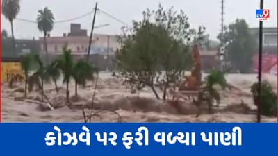 Monsoon 2023 : જામનગરમાં ભારે વરસાદ વરસતા ઢાંઢર નદી પર આવેલા કોઝવે પર ફરી વળ્યા પાણી, Videoમાં જુઓ દ્રશ્યો