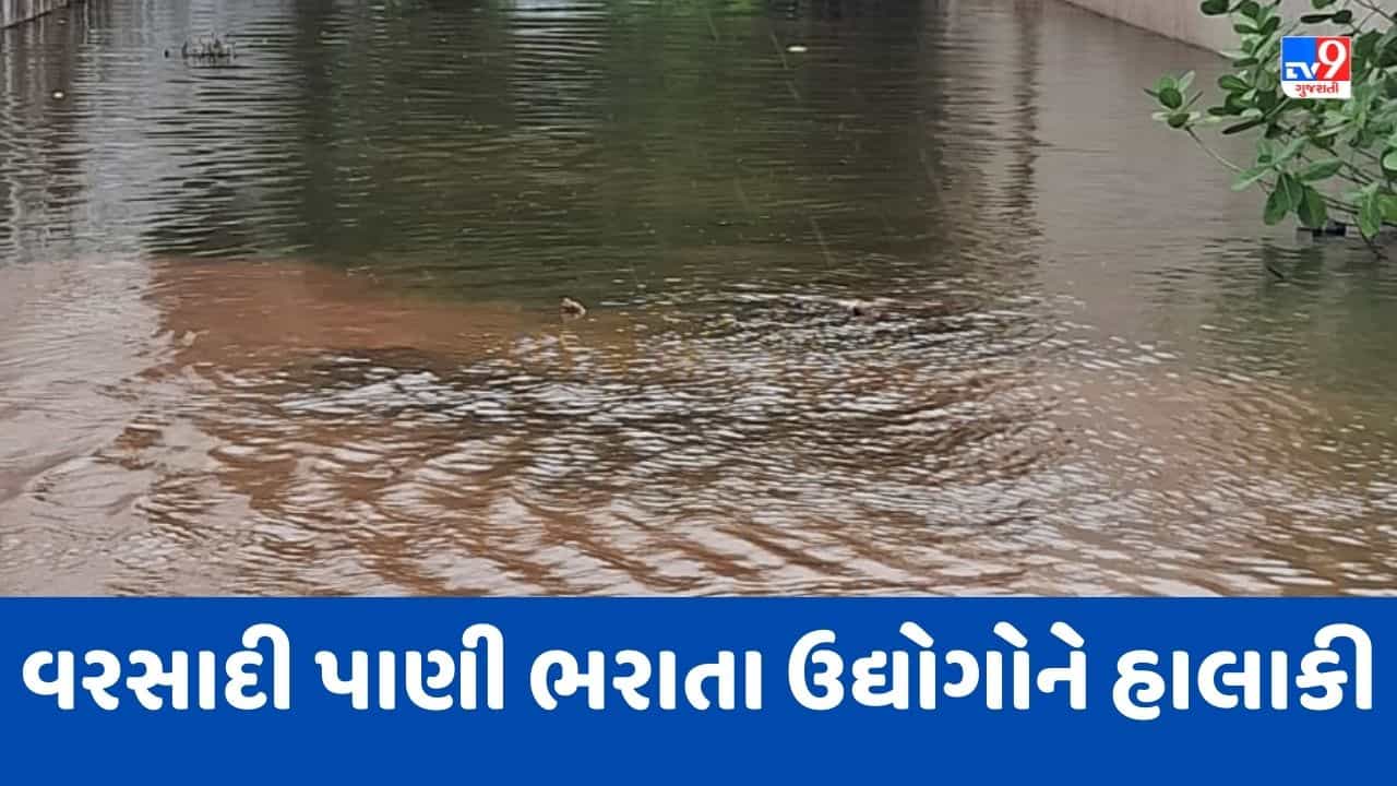 Jamnagar : હાપામાં ઔદ્યોગિક વિસ્તારમાં વરસાદી પાણી ભરાયા, બાંધણી તેમજ બ્રાસના 50 જેટલા ઉદ્યોગોને હાલાકી, જુઓ Video