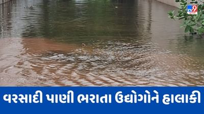 Jamnagar : હાપામાં ઔદ્યોગિક વિસ્તારમાં વરસાદી પાણી ભરાયા, બાંધણી તેમજ બ્રાસના 50 જેટલા ઉદ્યોગોને હાલાકી, જુઓ Video Jamnagar : હાપામાં ઔદ્યોગિક વિસ્તારમાં વરસાદી પાણી ભરાયા, બાંધણી તેમજ બ્રાસના 50 જેટલા ઉદ્યોગોને હાલાકી, જુઓ Video