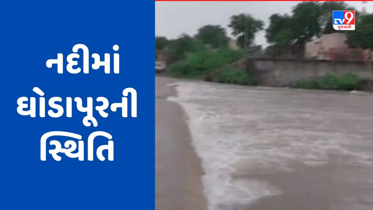 Gujarati Video : જામનગરના કાલાવડ શહેરની ફલકૂડી નદીમાં ઘોડાપૂરની સ્થિતિ
